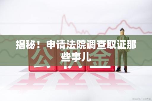 建阳揭秘！申请法院调查取证那些事儿