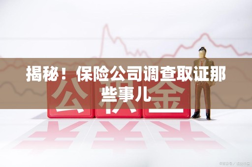 建阳揭秘！保险公司调查取证那些事儿