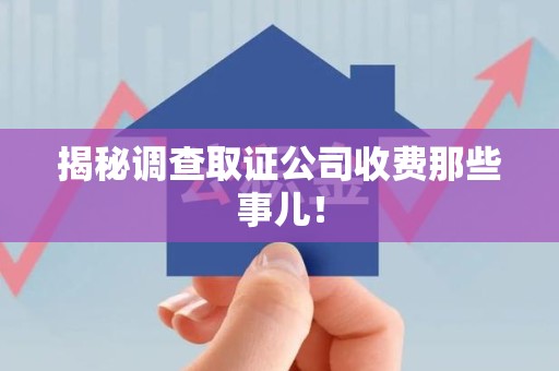 建阳揭秘调查取证公司收费那些事儿！