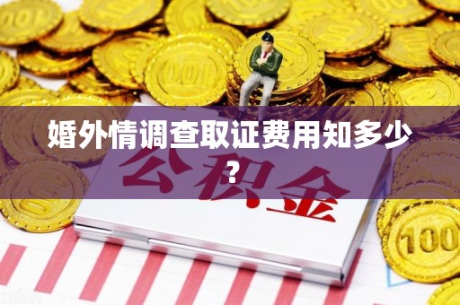 建阳婚外情调查取证费用知多少？