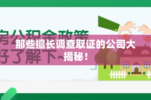 建阳那些擅长调查取证的公司大揭秘！