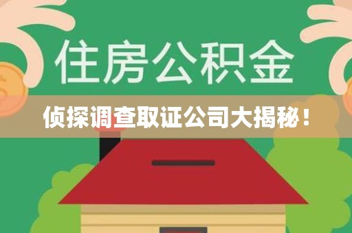 建阳侦探调查取证公司大揭秘！
