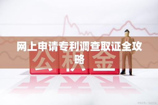 建阳网上申请专利调查取证全攻略