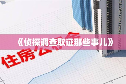 建阳《侦探调查取证那些事儿》