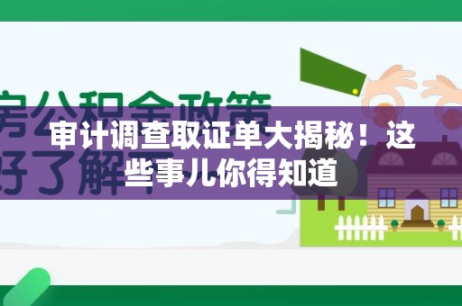 建阳审计调查取证单大揭秘！这些事儿你得知道