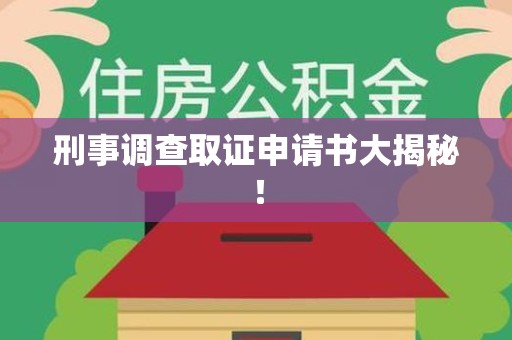 建阳刑事调查取证申请书大揭秘！