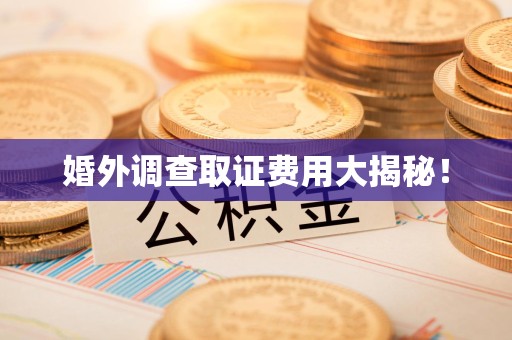 建阳婚外调查取证费用大揭秘！