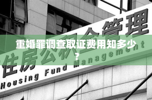 建阳重婚罪调查取证费用知多少？