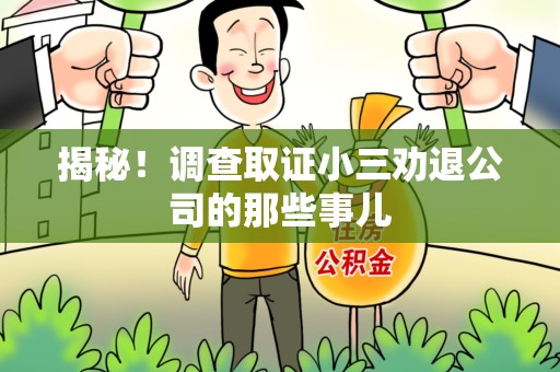 建阳揭秘！调查取证小三劝退公司的那些事儿