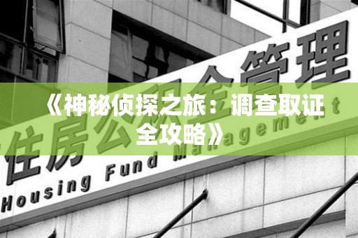 建阳《神秘侦探之旅：调查取证全攻略》
