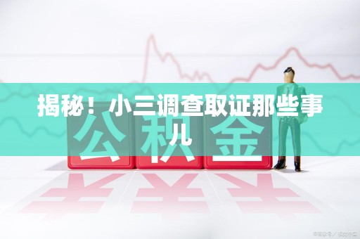建阳揭秘！小三调查取证那些事儿