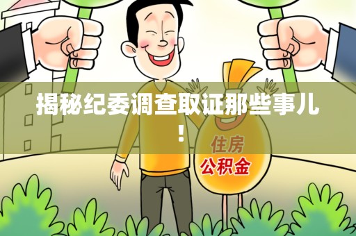 建阳揭秘纪委调查取证那些事儿！