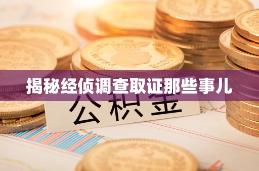 建阳揭秘经侦调查取证那些事儿