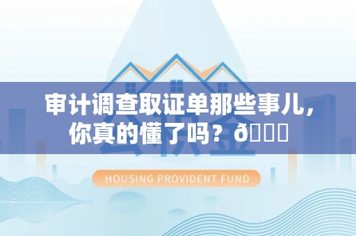 建阳审计调查取证单那些事儿，你真的懂了吗？😎
