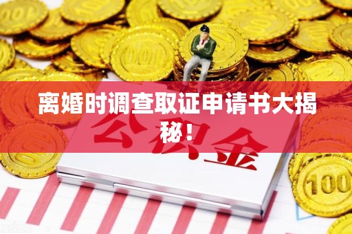 建阳离婚时调查取证申请书大揭秘！