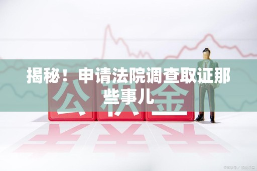建阳揭秘！申请法院调查取证那些事儿